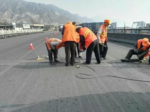 金州道路桥梁病害治理